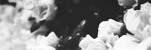 Zaidasnovas's profile banner image
