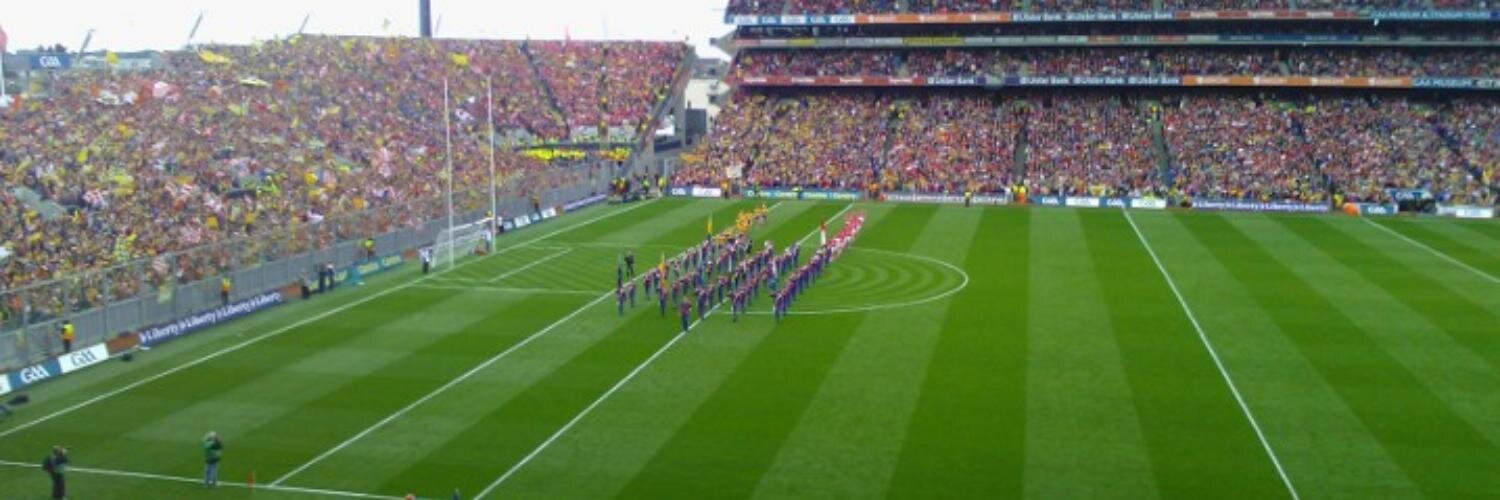 Niall Collins banner