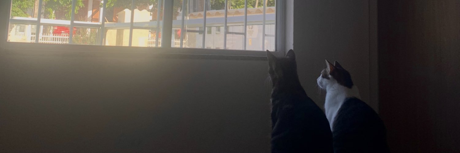 RodrigooLara's profile banner image