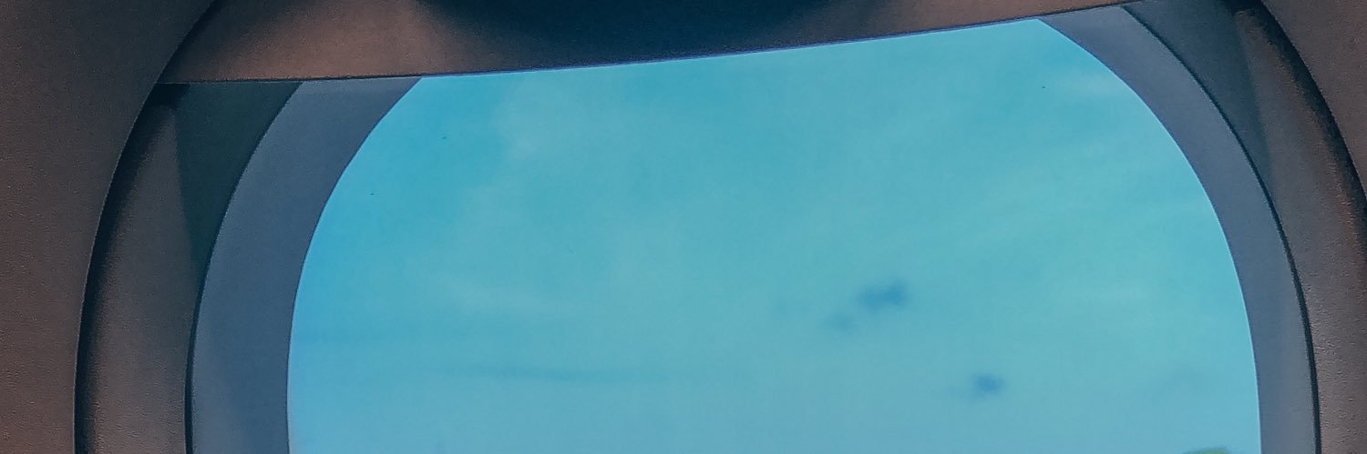 lilinevaa's profile banner image