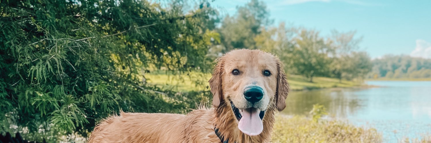chrissyysully's profile banner image