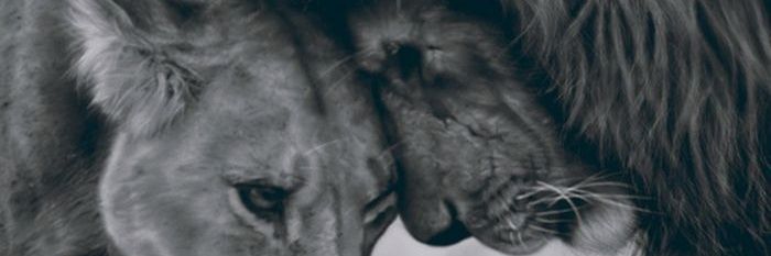 mat31947's profile banner image