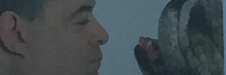 yding80's profile banner image