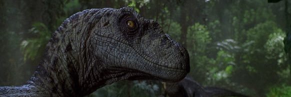 Fossil_Box's profile banner image