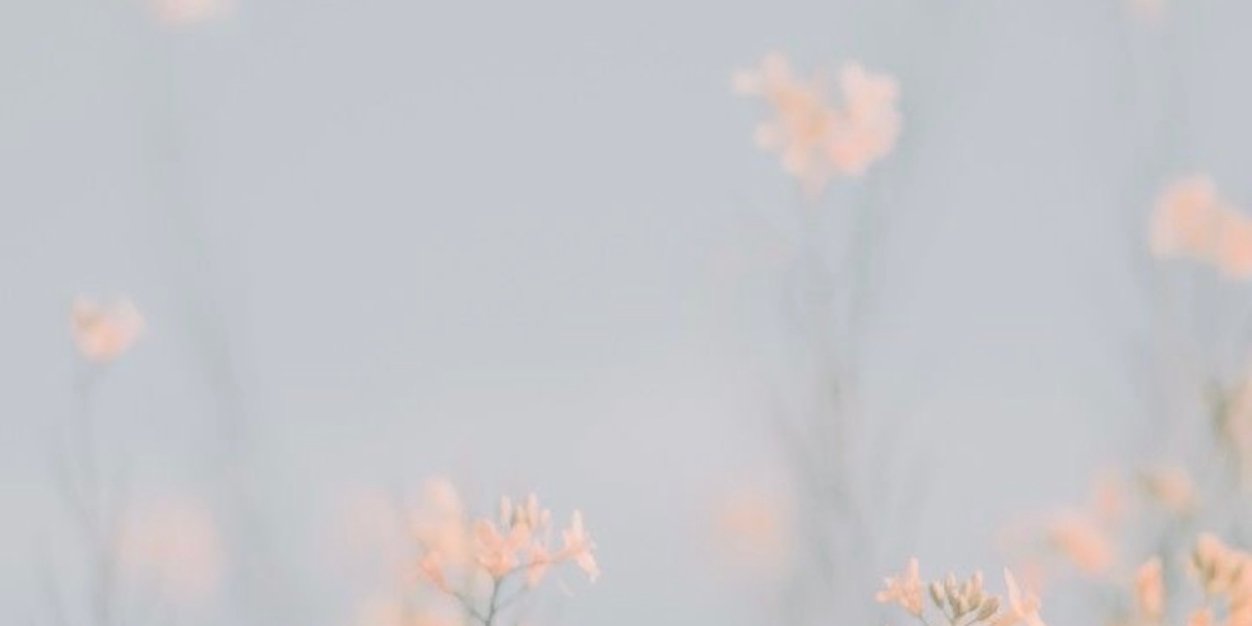Byesecret's profile banner image