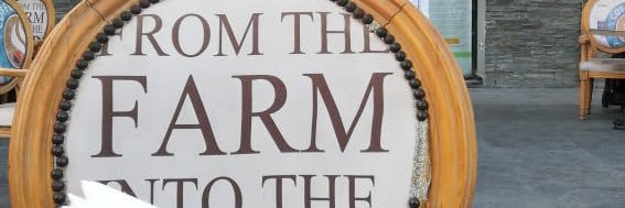 rehamragab99's profile banner image