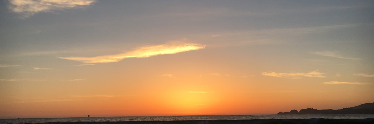 dolphino698's profile banner image