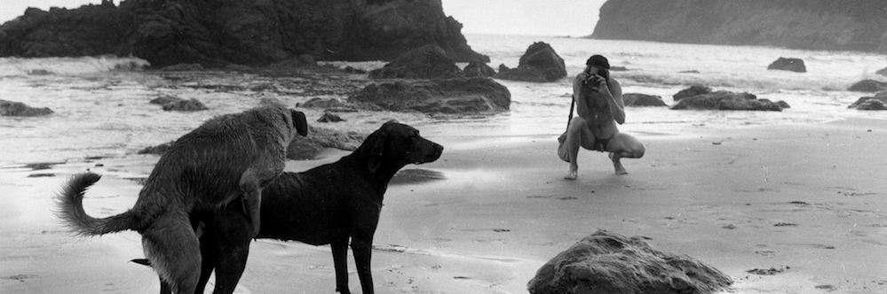 Jill_Freedman's profile banner image