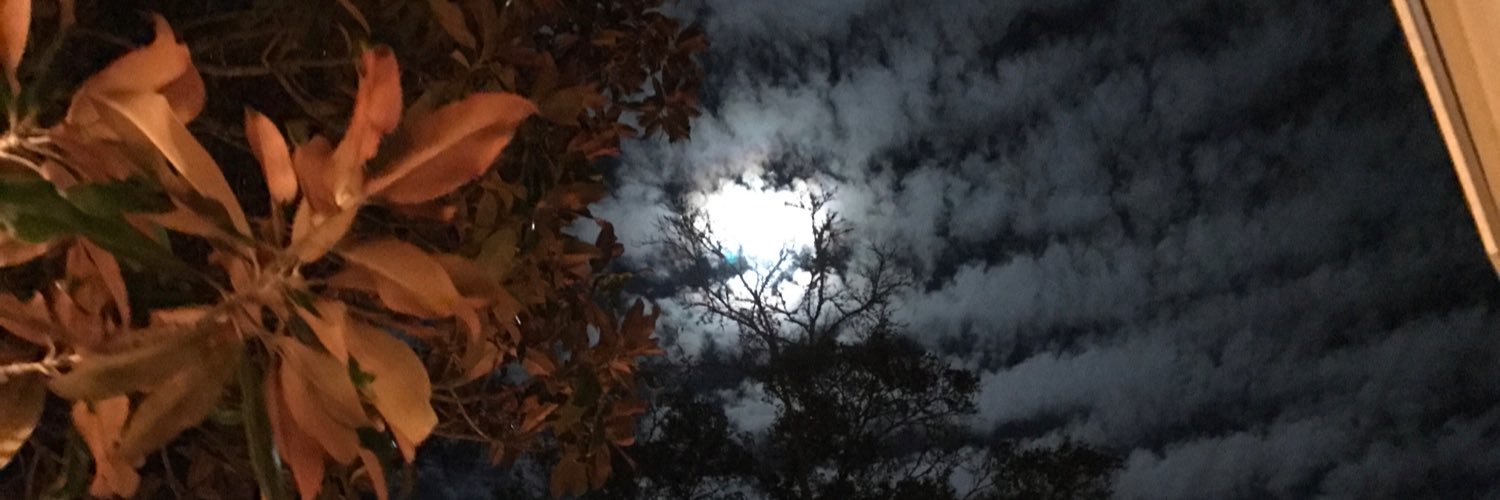 midnitewriter's profile banner image