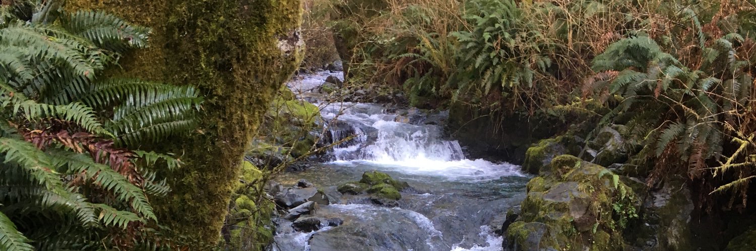 KittyKitty✨ banner