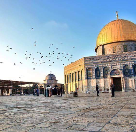 3omarso1iman's profile banner image