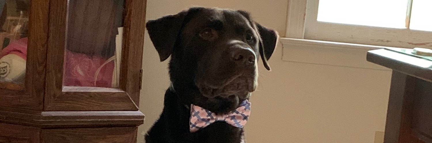 Jo-Jo Hawkins banner