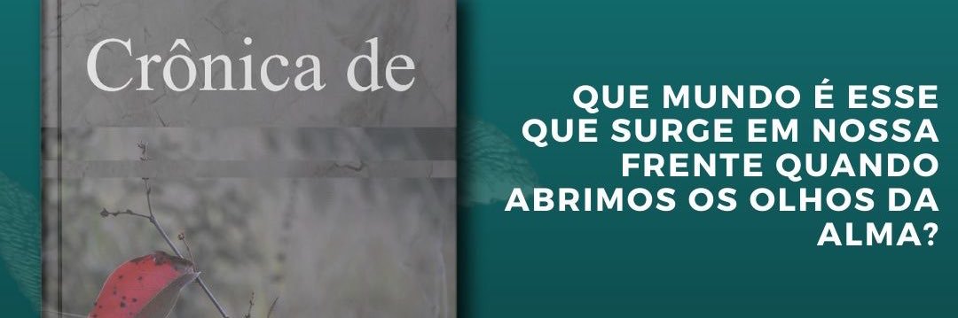 annanovaes's profile banner image