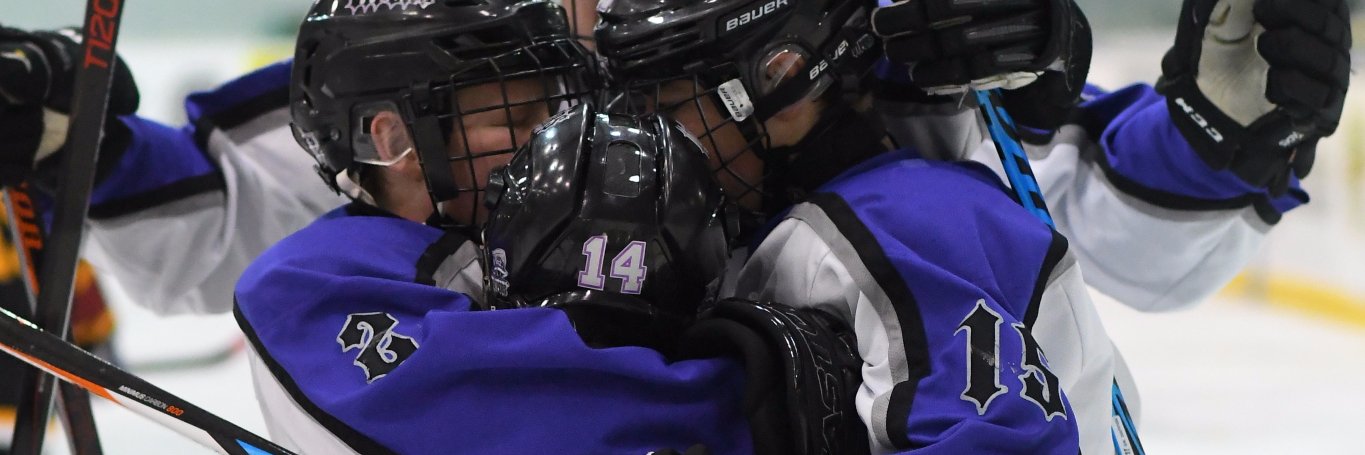 SaskValleyVipers banner
