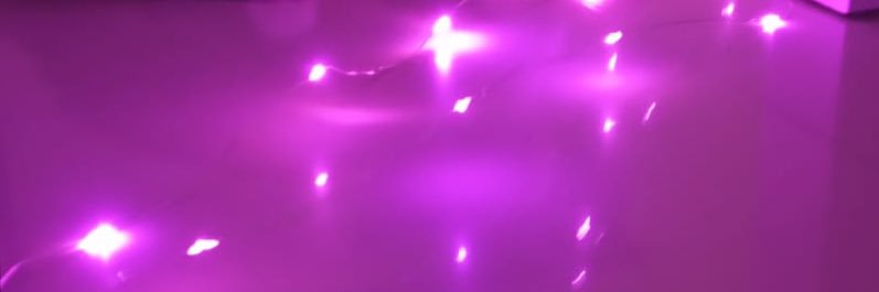 💖✨🦨EmbraceTheSkunk🦨✨💖 banner