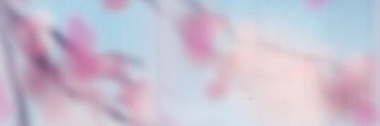 hanadi5556's profile banner image