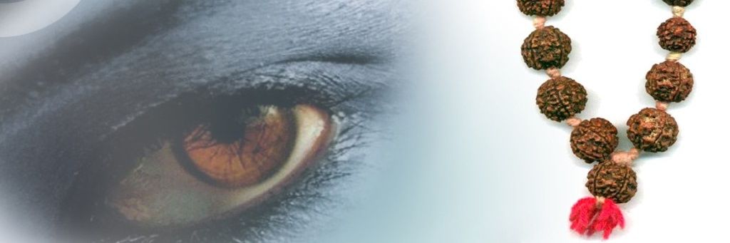 prvnshrm49's profile banner image