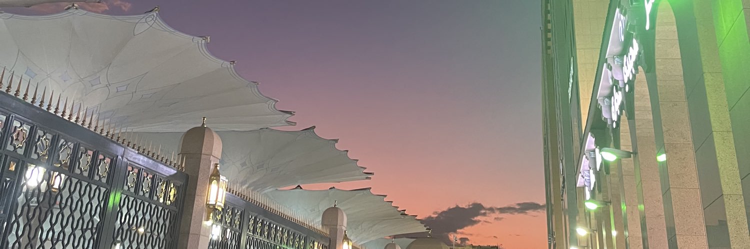Nvzisl's profile banner image