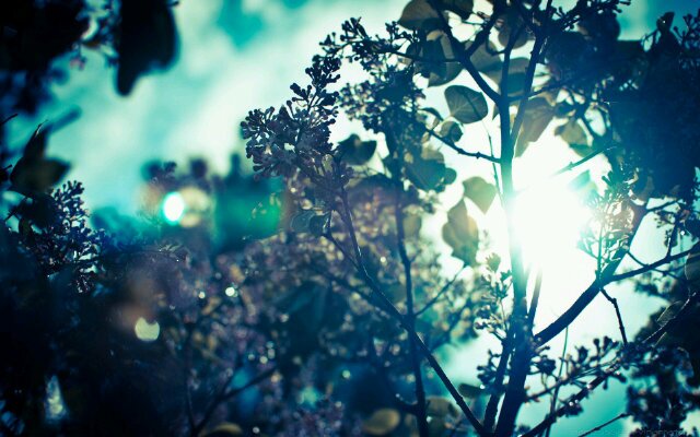 CastanedaKaren's profile banner image