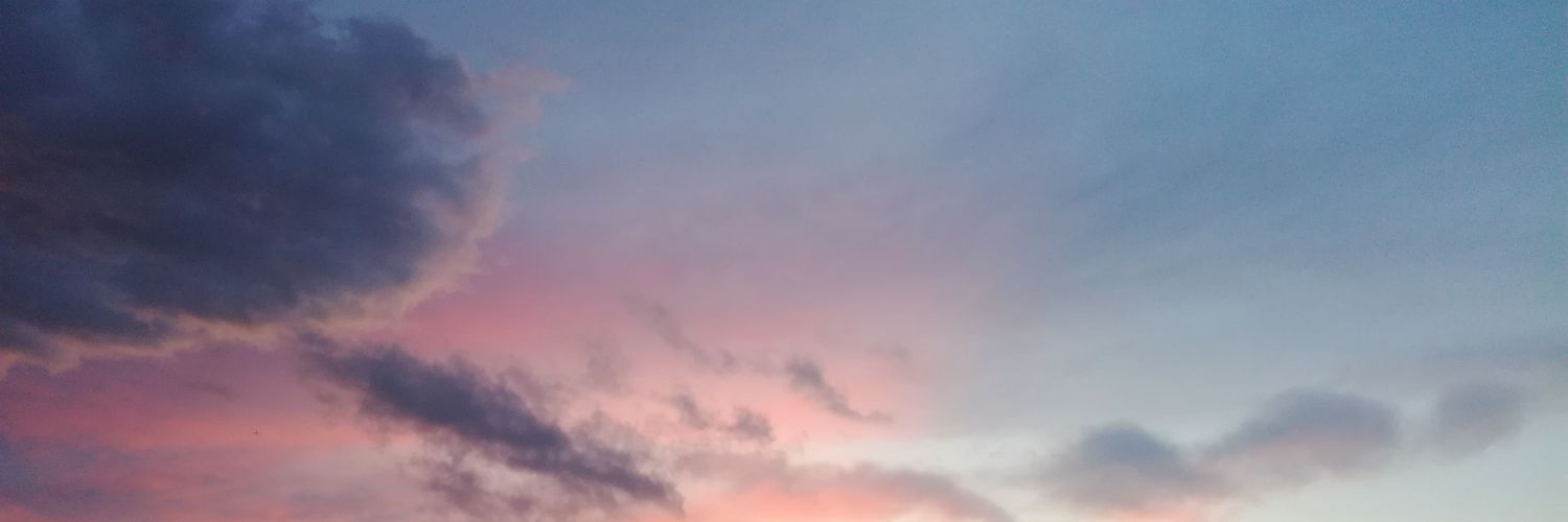 V1ZROY's profile banner image