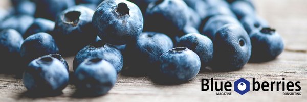 blueberriescl Profile Banner