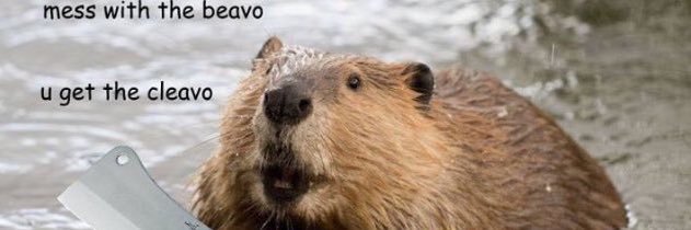 joebeever99's profile banner image