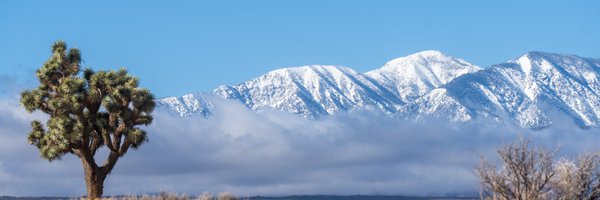 VVNews Profile Banner