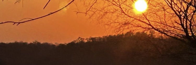 debsamato's profile banner image