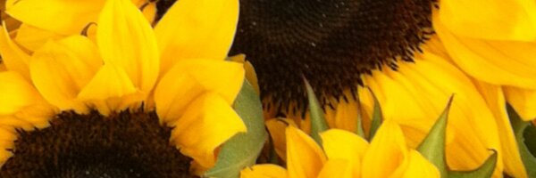CallieMooreK Profile Banner
