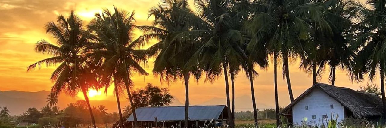 wilsonmsw's profile banner image