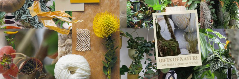 WaterdrinkerAalsmeer banner