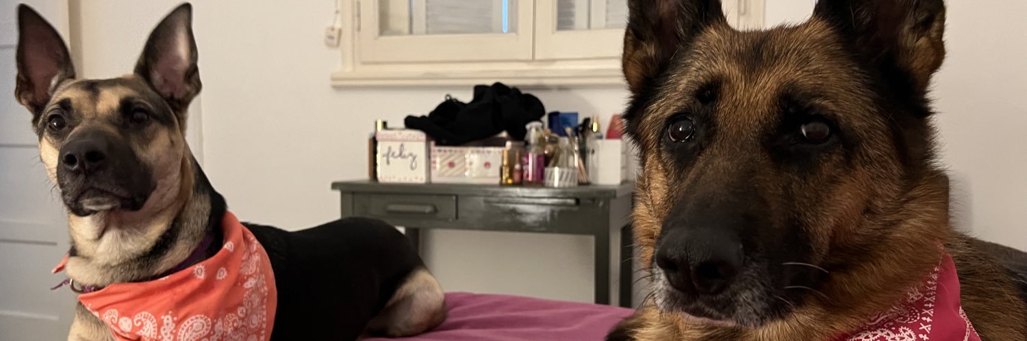 paulierrecalde's profile banner image