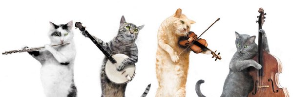 PhilWillmott Profile Banner