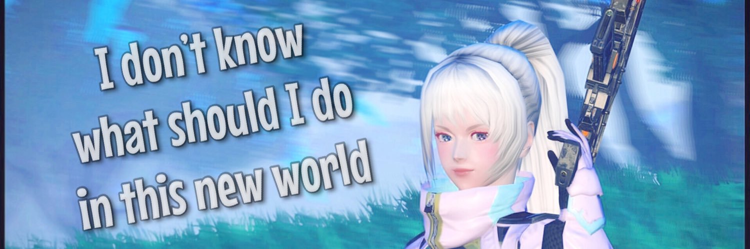 numb_PSO2NGS's profile banner image