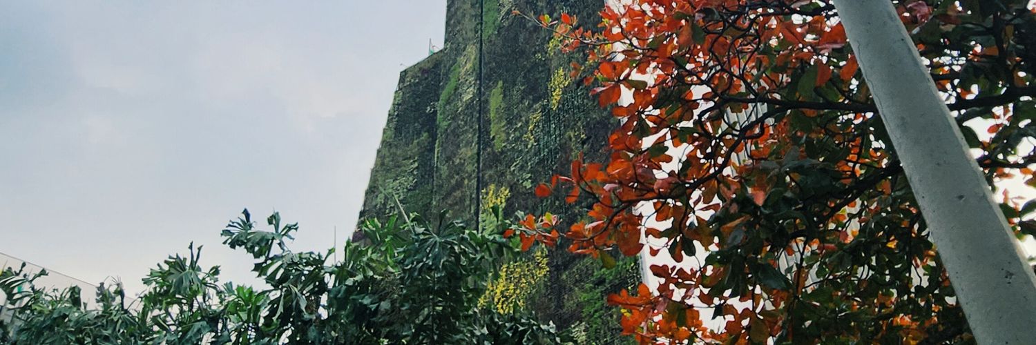 Carol_rcn's profile banner image
