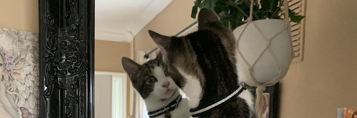 Pippashoes's profile banner image
