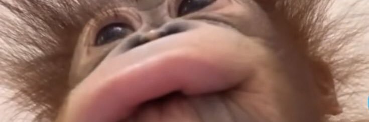 zoevaldz's profile banner image