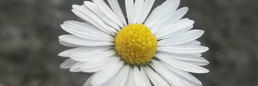 Abartmabe's profile banner image