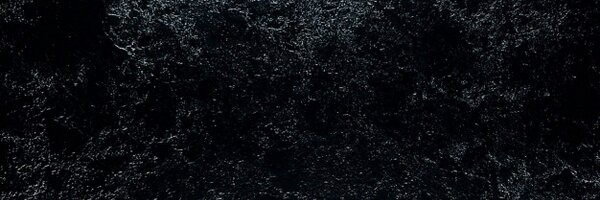 RealMaxMaven Profile Banner