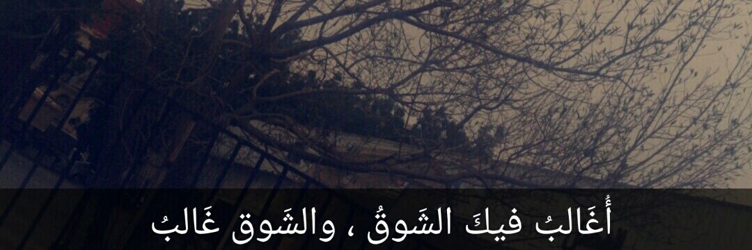 _entisar's profile banner image