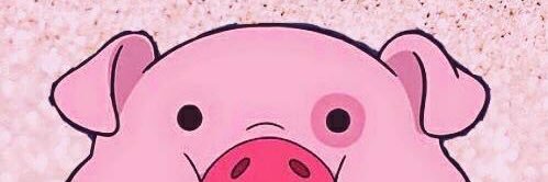 thisisgrasya's profile banner image