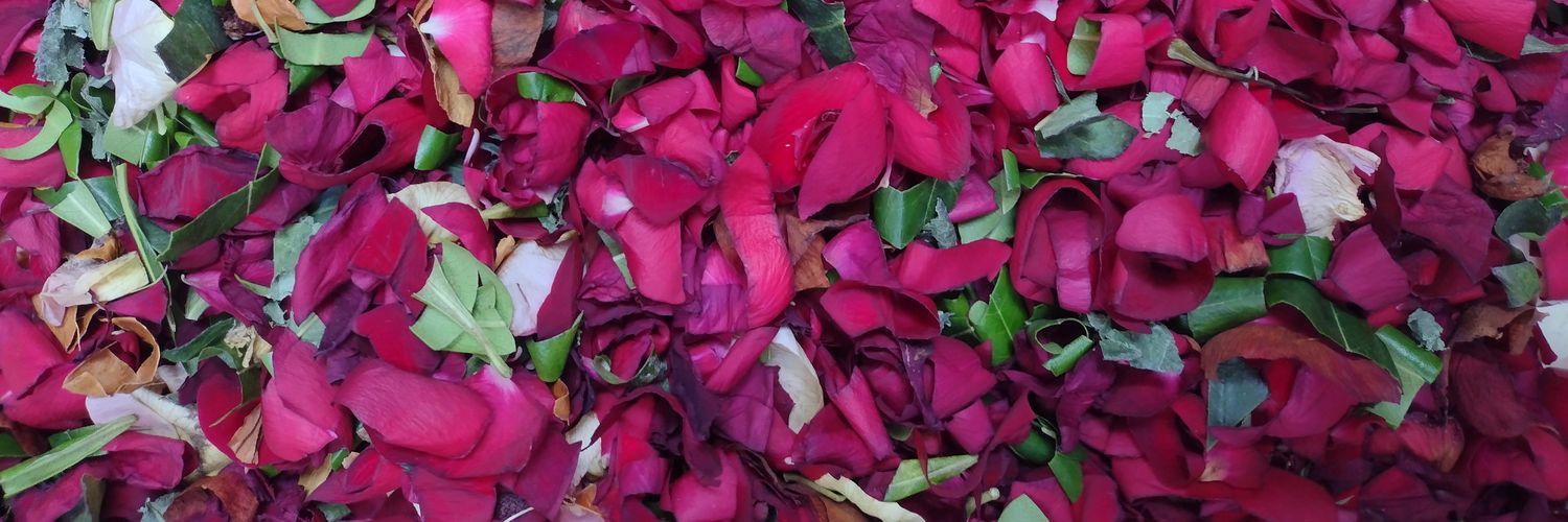 _MeDicenLilo_'s profile banner image