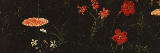 Iris_Land's profile banner image