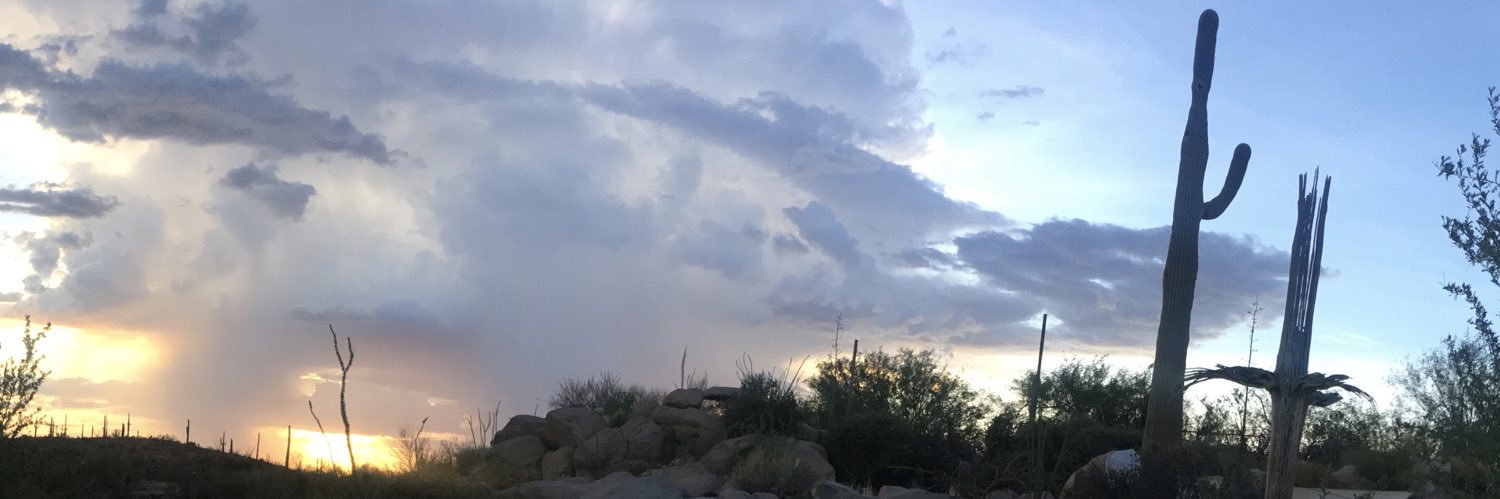 pjktucson's profile banner image