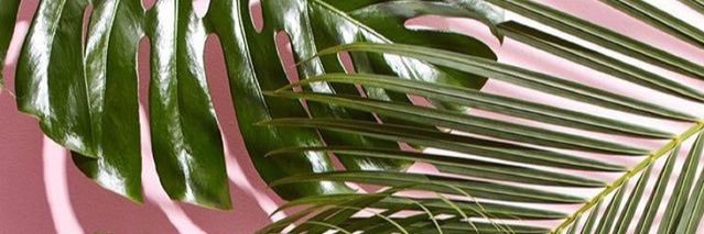 imaycaa_a's profile banner image