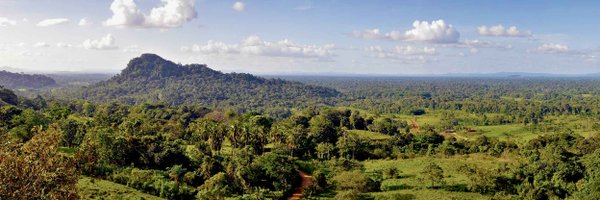 OpenForests Profile Banner