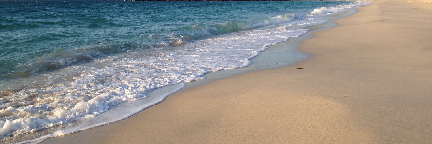 StephWheeler_'s profile banner image