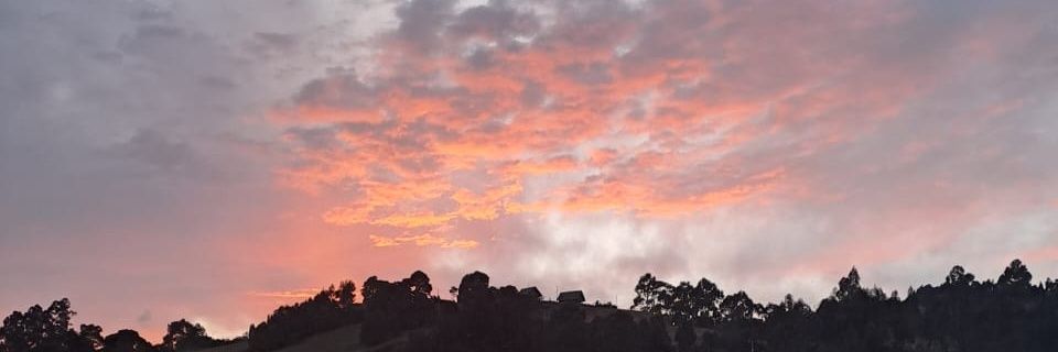 MirandaHeLF's profile banner image