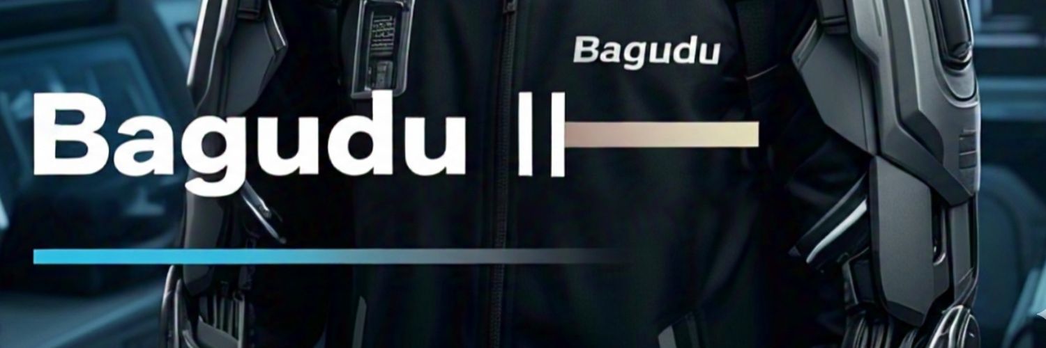 Bagudu banner