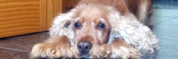 Jennygm10's profile banner image